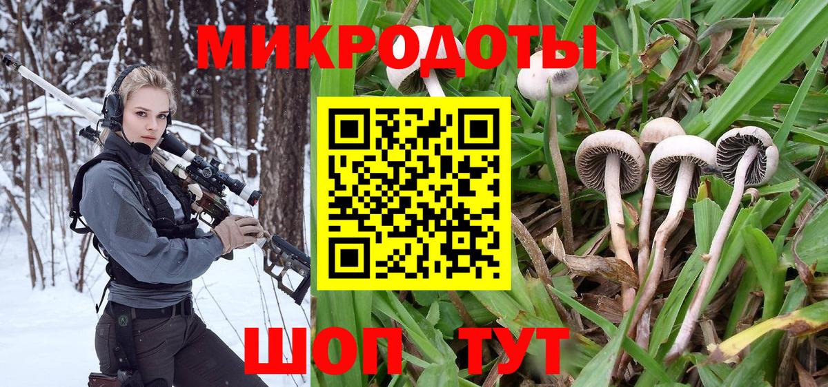 Нижний Тагил  Псилоцибиновые грибы прущие грибы  Вход с VPN 